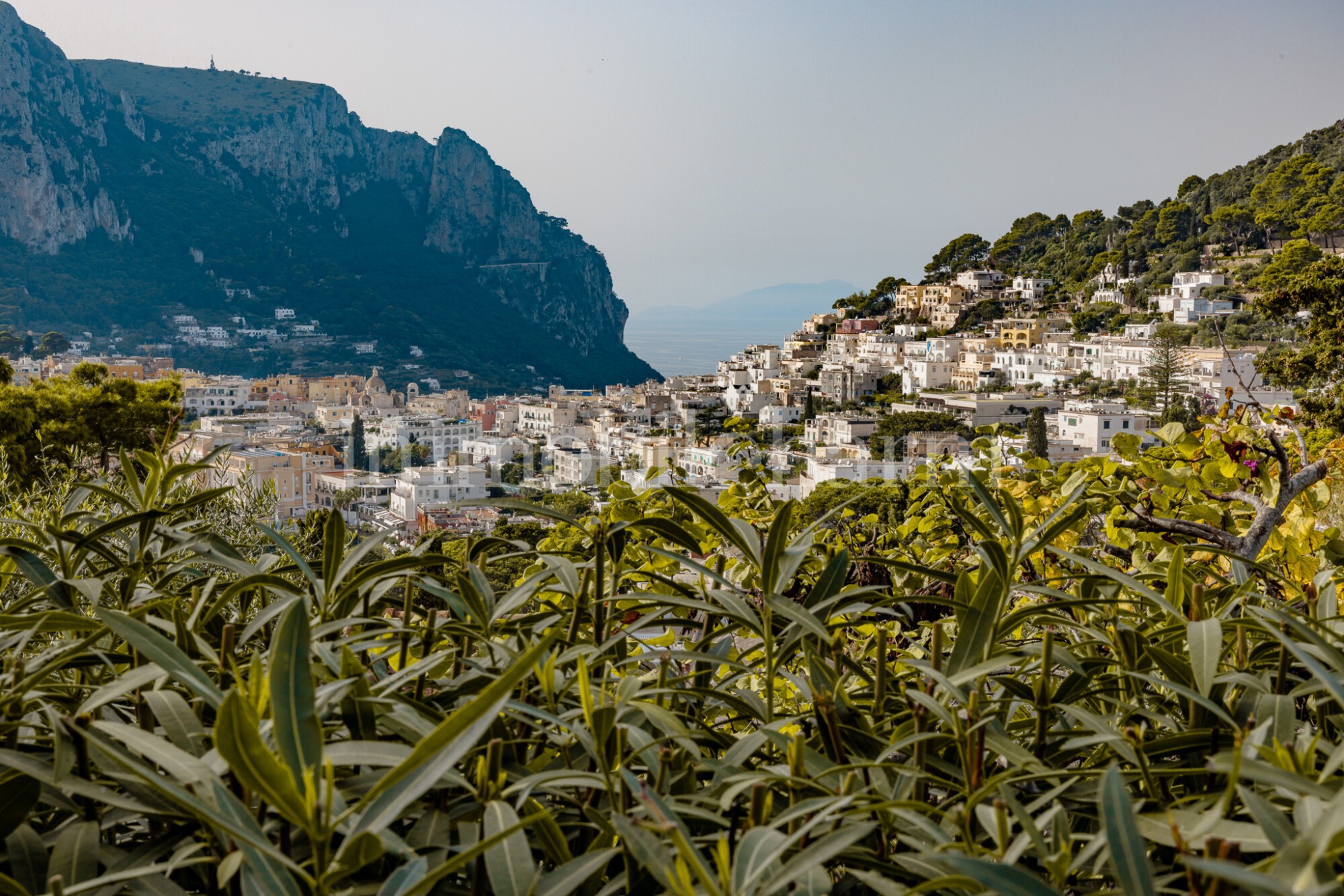 appartamento_tuoro (17)
